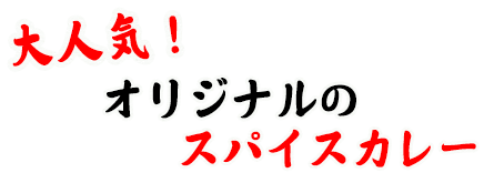 オリジナルのスパイスカレー