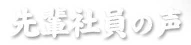 先輩社員の声